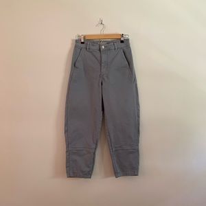 Everlane Utility Barrel Pant